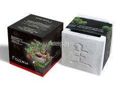 Растение ЭкоДом Вырасти Бонсай дома Годжи В дизайнерском кубике ручной работы