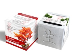 Растение ЭкоДом Вырасти Бонсай дома Клен японский В дизайнерском кубике ручной работы