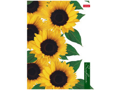 Тетрадь Hatber 2SunFlowers A5 160 листов 160ТК5В1_23016