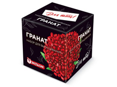 Растение ЭкоДом Для тебя! Гранат 1061843810347
