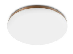 Светильник Yeelight Halo Ceiling Light (YLXD50YL) White Xiaomi