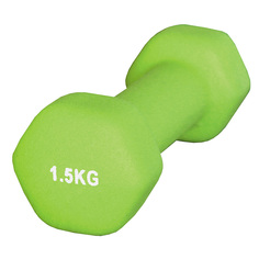 Гантель Atemi AD0115 1.5kg