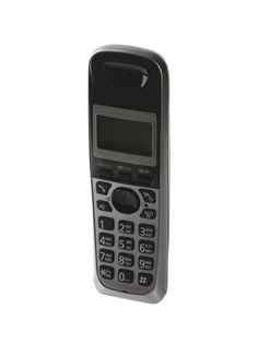 Радиотелефон Panasonic KX-TG2511 RUM Metallic