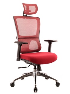 Компьютерное кресло Everprof Everest S сетка Red