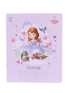 Тетрадь Hatber София Прекрасная 12 листов 12Т5блВ1