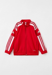 Олимпийка adidas SQ21 PRE JKT Y