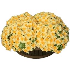 Искусственный цветок нарцисс 18 см желтый в корзине Без бренда