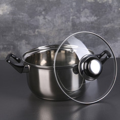 Кастрюля доляна