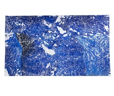 Ковер galaxy (kare) синий 240x170x1 см.