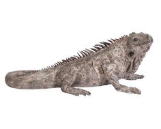 Статуэтка iguana (kare) серый 135x52x55 см.