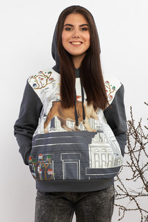 Толстовка Aha Lodensa