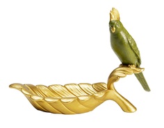 Чаша декоративная parrot (kare) золотой 21x14x10 см.