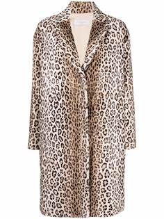 Antonelli пальто с леопардовым принтом