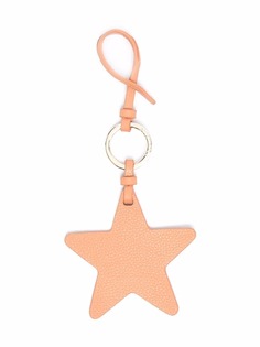 Coccinelle брелок в форме звезды