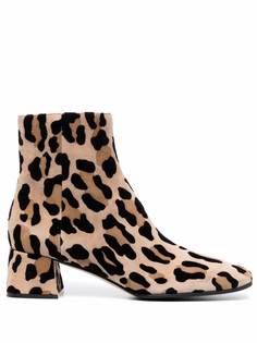 Sergio Rossi ботинки с леопардовым принтом