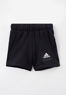 Шорты спортивные adidas 