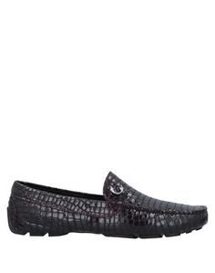 Мокасины Just Cavalli