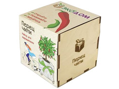 Растение ЭкоДом Перец чили 1061843804438