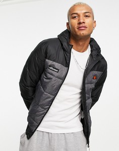 Черно-серый пуховик в стиле колор-блок ellesse-Черный цвет