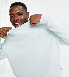 Свитшот пастельного мятного оттенка Puma Plus Essentials-Зеленый цвет