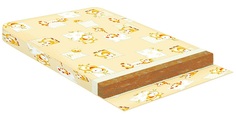 Матрас Баюшка би-кокос, 120х60х6см