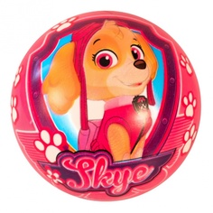 Мяч STAR &quot;Щенячий патруль. Скай и Эверест&quot;, 14см