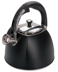 Чайник со свистком Regent Inox, черный, 3л