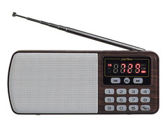 Радиоприемник Perfeo Егерь FM+ i120 Brown