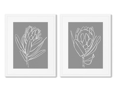 Набор из 2-х репродукций картин в раме minimalistic flower couple (картины в квартиру) серый 42x52 см.