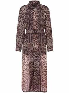 Dolce & Gabbana длинный тренч с леопардовым принтом