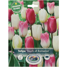 Тюльпан Simple Pleasures Touch Of Romance 18 шт
