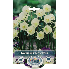 Нарцисс Simple Pleasures Arctic Bells 10 шт
