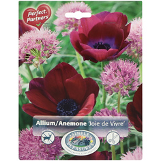 Смесь алиума и анемоны Simple Pleasures Joie De Vivre 50 шт