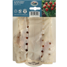 Тюльпан Simple Pleasures Dee Jay Parrot 6 шт