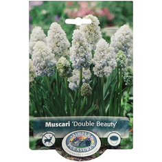 Мускари Simple Pleasures Double Beauty 10 шт