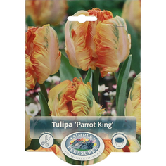Тюльпан Simple Pleasures Parrot King 6 шт