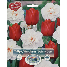 Смесь тюльпана нарцисс Simple Pleasures Dainty Duo 16 шт