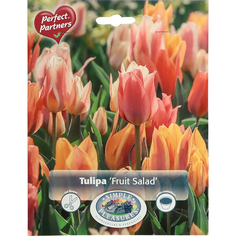 Тюльпан Simple Pleasures Fruit Salad 15 шт