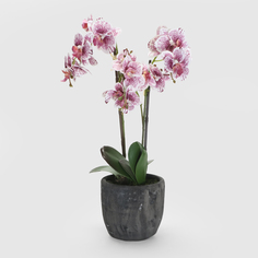 Цветок искусственный Орхидея в горшке 2 цвета 54 см Fuzhou Light