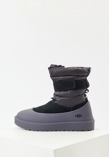 Угги UGG 