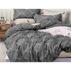 Постельное белье евро, пр220х240, 2н50х70, 2н70х70, п200х220, Cleo, сатин, Satin Lux, 31/582-SL