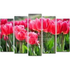 Картина модульная, 125х80 см, 5 шт, X-004H