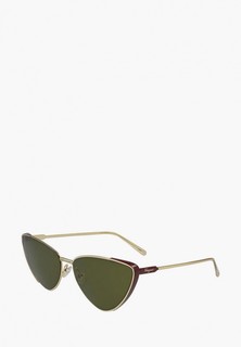 Очки солнцезащитные Salvatore Ferragamo 206S