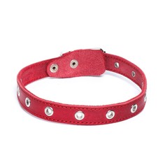 Ошейник универсальный, красный (размер 12-45 см, ширина 2 см), кожаный Пушистое счастье