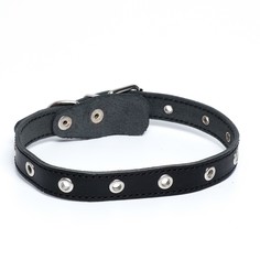 Ошейник универсальный, чёрный (размер 12-45 см, ширина 2 см) Пушистое счастье