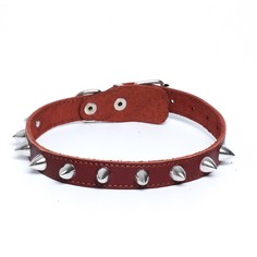 Ошейник шипы, коричневый (размер 38-46 см, ширина 2 см), кожаный Пушистое счастье