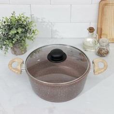 Кастрюля доляна