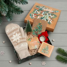 Подарочный набор new year варежки р-р 19 и акс (4 предм) Kaftan