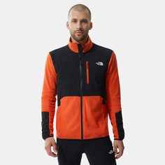 Мужская флисовая кофта Glacier Pro The North Face