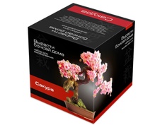 Растение ЭкоДом Вырасти Бонсай дома Сакура В дизайнерском кубике ручной работы 1061843810507